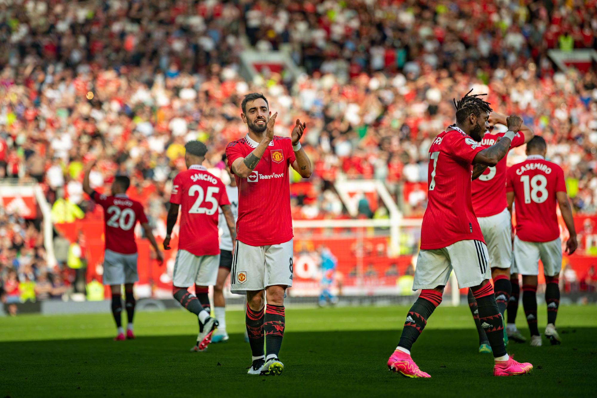 的职业生涯 的职业生涯